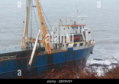 Cork, Irland. Feb. 2020. Atlas Cargo Ship, Ballyanna, Cork City EIN Mann, der sich den steilen Hang hinunter zum Boden machte und den provisorischen lader auf das Deck klimte. Atlas-Cargo-Schiff an der Küste von Ballycotton, östlich von Ballyanna, aufgespült. Viele Zuschauer machten sich auf den Weg durch Felder und steile Hänge, um das Wrack selbst zu sehen, einige kamen sogar zu einem genaueren Blick, stiegen die provisorische Leiter hinauf und erkundeten das Schiffsdeck trotz starker Winde und Regen. Credit: Damian Coleman/Alamy Live News Stockfoto