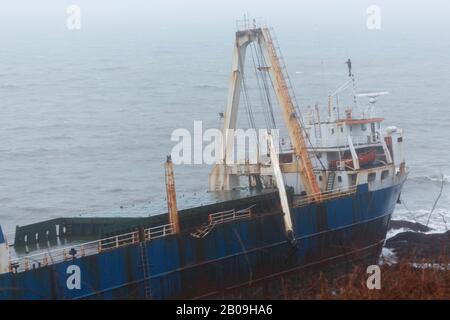 Cork, Irland. Feb. 2020. Atlas Cargo Ship, Ballyanna, Cork City EIN Mann, der sich den steilen Hang hinunter zum Boden machte und den provisorischen lader auf das Deck klimte. Atlas-Cargo-Schiff an der Küste von Ballycotton, östlich von Ballyanna, aufgespült. Viele Zuschauer machten sich auf den Weg durch Felder und steile Hänge, um das Wrack selbst zu sehen, einige kamen sogar zu einem genaueren Blick, stiegen die provisorische Leiter hinauf und erkundeten das Schiffsdeck trotz starker Winde und Regen. Credit: Damian Coleman/Alamy Live News Stockfoto