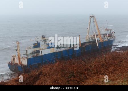 Cork, Irland. Feb. 2020. Atlas Cargo Ship, Ballyanna, Cork City EIN Mann, der sich den steilen Hang hinunter zum Boden machte und den provisorischen lader auf das Deck klimte. Atlas-Cargo-Schiff an der Küste von Ballycotton, östlich von Ballyanna, aufgespült. Viele Zuschauer machten sich auf den Weg durch Felder und steile Hänge, um das Wrack selbst zu sehen, einige kamen sogar zu einem genaueren Blick, stiegen die provisorische Leiter hinauf und erkundeten das Schiffsdeck trotz starker Winde und Regen. Credit: Damian Coleman/Alamy Live News Stockfoto