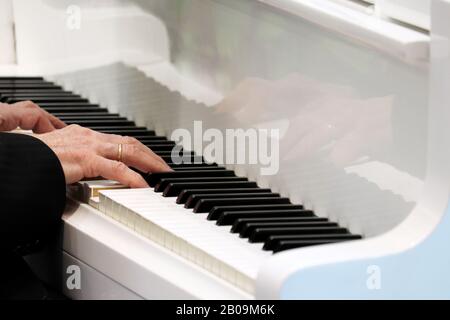 Pianist spielt Klavier, Live-Musik. Männlich Hände auf den Tasten eines weißen Klaviers Stockfoto