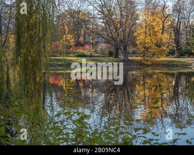 Warschau, Polen - 31. Oktober 2018: Royal Baths Park im Herbst, Baths Park, Osteuropa Stockfoto