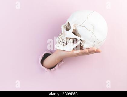 Die weibliche Hand hält einen Schädel auf einer Handfläche durch ein Loch in Rosa. Minimalistisches kreatives Konzept. Halloween-Konzept. Stockfoto