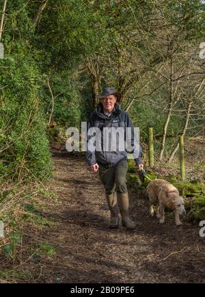 Ein Mann, der seinen jungen goldenen Retriever für einen Spaziergang in Baildon, Yorkshire, nimmt. Stockfoto