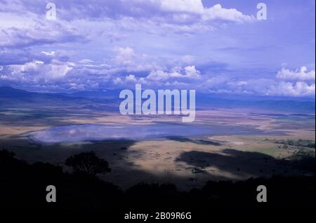 TANSANIA, KRATER NGORONGORO, BLICK VOM KRATER RIM Stockfoto