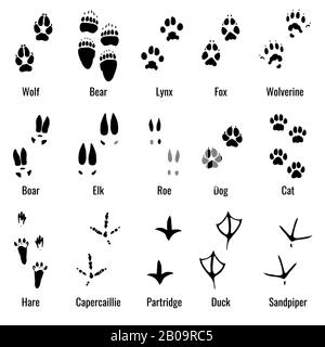 Tiertiere, Reptilien und Vögel Fußabdruck, Tierpfote druckt Vektorgrafik. Fußabdrücke verschiedener Tiere, Abbildung der schwarzen Silhouetten-Fußabdrücke Stock Vektor