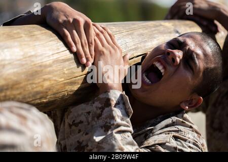 Die Rekruten des US Marine Corps bei Alpha Company, 1st Recruit Training Battalion rufen eine Antwort auf einen Drill-Instructor während der Protokollübungen im Marine Corps Recruit Depot am 28. Oktober 2019 in San Diego, Kalifornien. Stockfoto