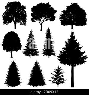 Wald-Nadelholz- und Lauben-Tannen-Vektorsilhouetten gesetzt. Immergrüne Baumpflanze, Illustration von Silhouetten-Holzbaum Stock Vektor