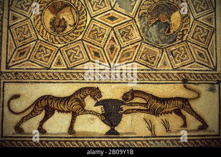 LIBYEN, IN DER NÄHE VON BENGASI, PTOLEMAIS (TOLMEITA), MUSEUM, RÖMISCHES MOSAIK, TIGER Stockfoto