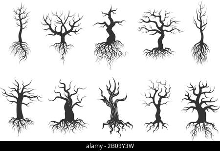 Alte Baumvektor-Silhouetten mit Vektor-Satz "Wurzeln". Schwarzer Silhouetten-Baumstamm mit Wurzel, Abbildung eines trockenen Baumes Stock Vektor