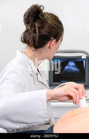 Der Arzt führt Ultraschall- oder Sonogramm-Verfahren an eine Schwangere Frau im Krankenhaus durch, Nahaufnahme des Geburtshelferaufnehmers, Der Den Schwinger auf dem Bauch der Zukünftigen Mutter bewegt. Stockfoto