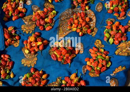 MALI, DJENNE, WOCHENMARKT AUF DEM PLATZ VOR DER MOSCHEE, PAPRIKA Stockfoto