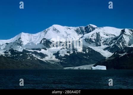 UNTER-ANTARKTIS, SÜDGEORGIEN-INSEL, BLICK VOM MEER Stockfoto
