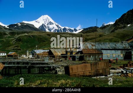 UNTER-ANTARKTIS, SÜDGEORGIEN GRYTVIKEN, ALTE WALFANGSTATION Stockfoto