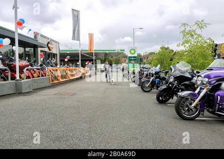 Mann und Hund gehen auf einer Linie von Harley-Davidson Motorrädern, die in einer Reihe im Reading Berkshire England Showroom Wokingham Road geparkt wurden, die George Bar. Stockfoto