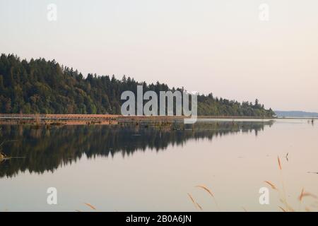 Wunderschönes Stillwasser Und EINE Reihe von Evergreen Bäumen Gegen Hazy Morning Sky Stockfoto