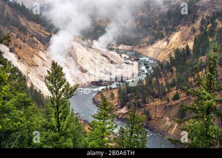 Dampfschlitze aus Lavafumarolen entlang des Lava Creek Tuff in Yellowstone N.P. Wyoming. Stockfoto