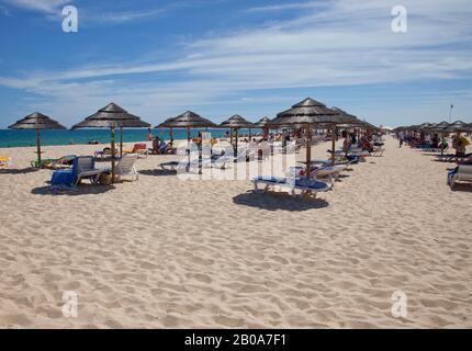 Sonnenliegen mit Sonnenschirmen auf der Praia da Ilha de Tavira, Tavira, Portugal. Der Strand ist über eine Fähre von der Stadt Tavira aus zu erreichen Stockfoto