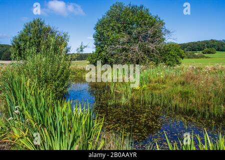 Schopfloch, Moorgebiet auf der Schwäbischen Alb, Deutschland, Baden-Württemberg, Schwäbische Alb Stockfoto