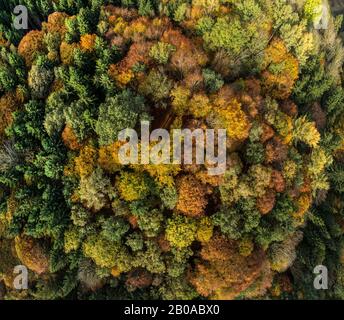 Luftbild Herbstwald Ampertal, Deutschland, Bayern, Oberbayern, Oberbayern, Wippenhausen Stockfoto