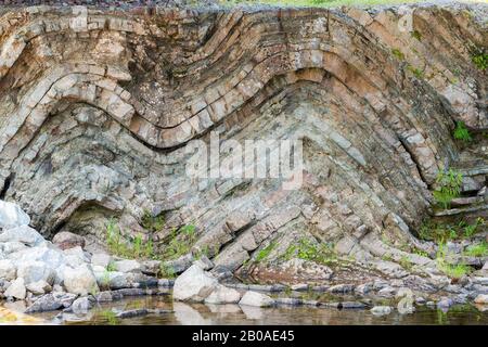 Eine geologische Falte in sedimentärem Gestein. Die Falte hat die Form eines Buchstaben "M" in einer Klippe über einem Fluss. Viele Schichten sedimentären Felsens sichtbar. Stockfoto