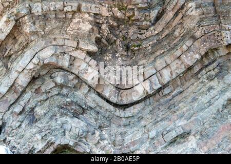 Eine geologische Falte in sedimentärem Gestein. Die Falte befindet sich in einer Klippe. Viele Schichten sedimentären Felsens sichtbar. Nahansicht. Stockfoto