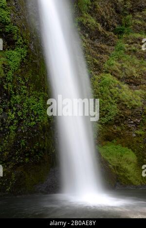 Horsetail Falls entlang des historischen Columbia River Hwy, Oregon. Stockfoto