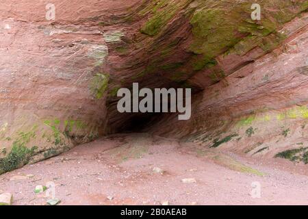 Blick direkt in eine Meereshöhle vom Eingang bei Ebbe. Algen an Wänden und Decke. Die Höhle befindet sich in sedimentären Felsen. Stockfoto