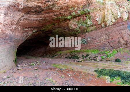 Der Eingang zu einer Meereshöhle bei Ebbe. Die Höhle ist innen dunkel. Algen an Wänden und Decke. Die Höhle befindet sich in sedimentären Felsen. Stockfoto