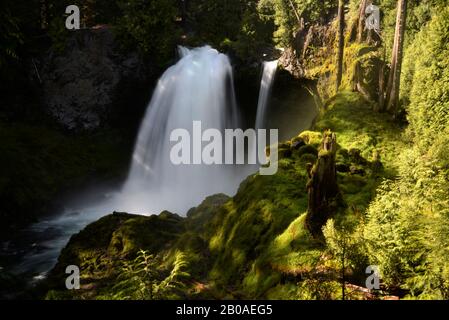 Sahalie fällt auf McKenzie River in den Willamette National Forest. Stockfoto