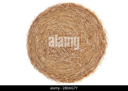 Strohballen auf Maisfeld isoliert Stockfoto