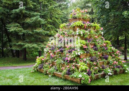 Holzpyramidenförmige Blumenkiste mit gemischten Anpflanzungen, weiße Petunia, pinke Impatiens und Begonia Blumen im Sommer, Centre de la Nature Garden. Stockfoto