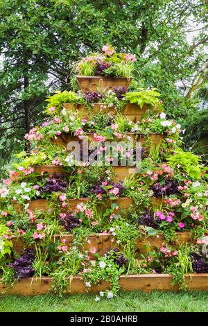 Holzpyramidenförmige Blumenkiste mit gemischten Anpflanzungen, weiße Petunia, pinke Impatiens und Begonia Blumen im Sommer, Centre de la Nature Garden. Stockfoto