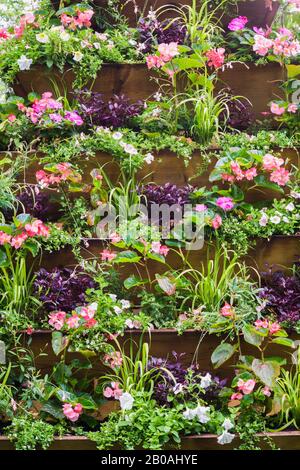 Holzpyramidenförmige Blumenkiste mit gemischten Anpflanzungen, weiße Petunia, pinke Impatiens und Begonia Blumen im Sommer, Centre de la Nature Garden. Stockfoto