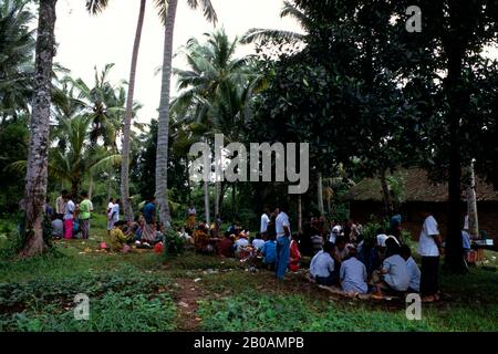 INDONESIEN, BALI, HAHNENKAMPF, ARENA Stockfoto