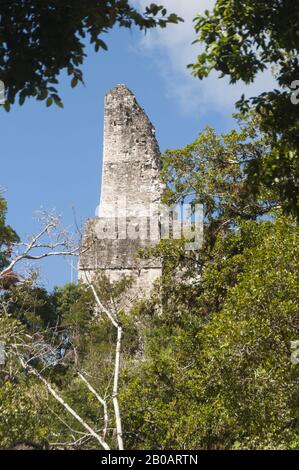 Guatemala, Tikal-Nationalpark, Templo IV, 741 AD, höchste Maya-Pyramide, UNESCO-Weltkulturerbe Stockfoto