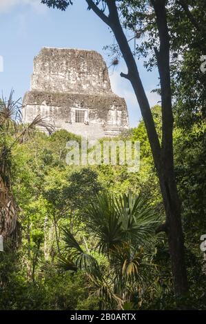 Guatemala, Tikal-Nationalpark, Templo IV, 741 AD, höchste Maya-Pyramide, UNESCO-Weltkulturerbe Stockfoto