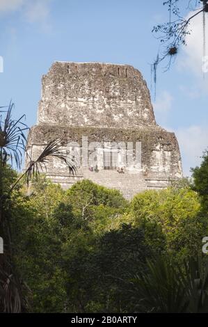 Guatemala, Tikal-Nationalpark, Templo IV, 741 AD, höchste Maya-Pyramide, UNESCO-Weltkulturerbe Stockfoto