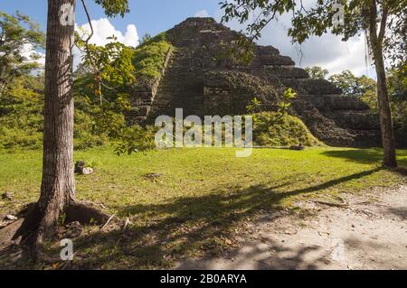 Guatemala, Tikal-Nationalpark, Mundo Perdido, Lost World Pyramid, 700 v. Chr., älteste in Tikal, teilweise ausgegraben Backside, Talud-Tablero-Architektur; Stockfoto