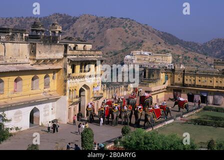 INDIEN, RAJASTHAN, JAIPUR, AMBER FORT, ELEFANTEN Stockfoto