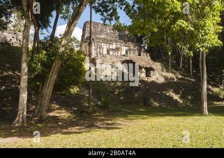 Guatemala, Tikal-Nationalpark, Mundo Perdido, Tempelruinen; UNESCO-Weltkulturerbe Stockfoto
