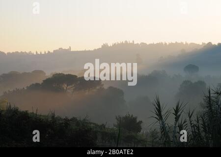 Sonnenaufgang am frühen Morgen in den welligen Hügeln der Toskana, Italien Stockfoto