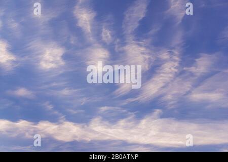 Blauer Himmel am Abend mit hohen Zirruswolken, um das Wetter zu verändern, die Sonnenuntergang-farbenen Zirruswolken rosa Stockfoto