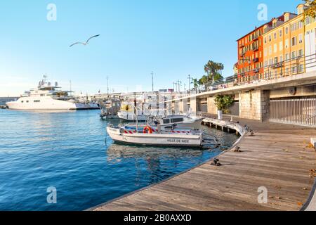 Eine Möwe fliegt über die Boote am Alten Hafen in der mediterranen Stadt Nizza Frankreich an der Französischen Riviera angedockt. Stockfoto