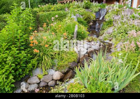 Kaskadierende Wasserfälle und rockiger Bach, der von Iris, Rosa Astylbe, Hosta - Plaintain Lily, Orange Hemerocallis - Daylilies, Lamium - Deadnessel begrenzt wird. Stockfoto