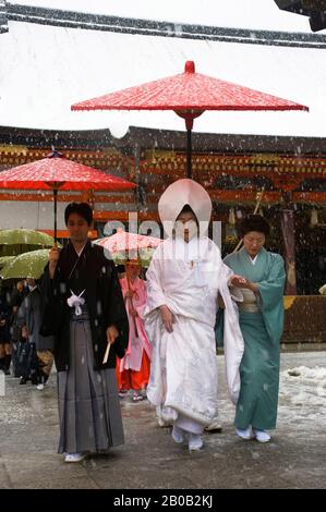 JAPAN, KYOTO, YASAKA-SCHREIN (SHINTO) IM SCHNEE, TRADITIONELLE SHINTO-HOCHZEITSFEIER Stockfoto