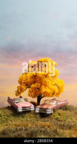 Pair of Pink Cars on A Hill Under Fall Beech Tree Stockfoto