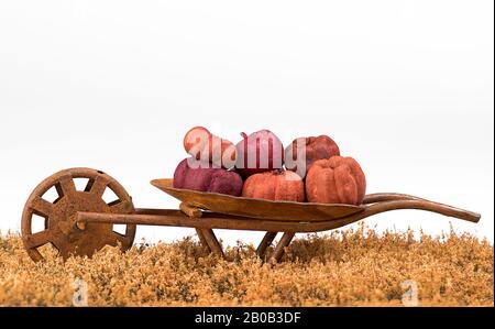 Raustige, Farm Schubkarre Mit Fall-Pumpkins in Grasiger Wiese Stockfoto