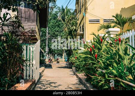 Antike Stadt am frühen Morgen in Luang Prabang, Laos. Luang war bis 1975 die königliche Hauptstadt des Landes. Stockfoto