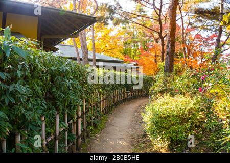 Farbenfroher Herbstblick auf die Gasse und Die Traditionellen Hütten im japanischen Garten, Tsurumi Ryokuchi Park, Osaka, Japan Stockfoto