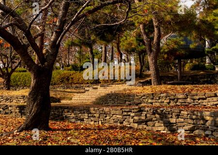 Farbenfroher Herbstblick mit verwelkten, gestürzten Blättern, die im Tsurumi Ryokuchi Park, Osaka, Japan, auf dem Boden verstreut sind Stockfoto